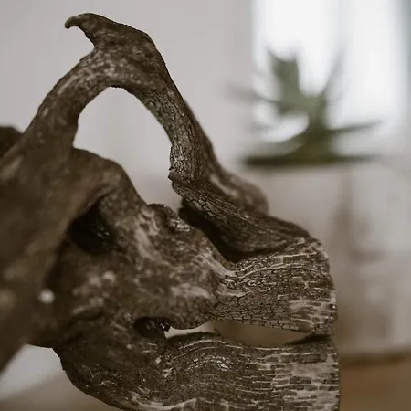 Kanela بيت للعطل اليكاناس