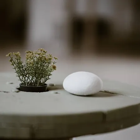 Kanela اليكاناس