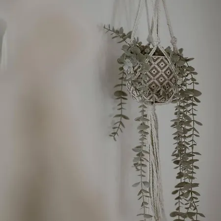 Kanela اليكاناس