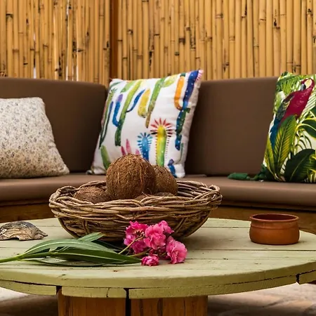 Kanela * اليكاناس