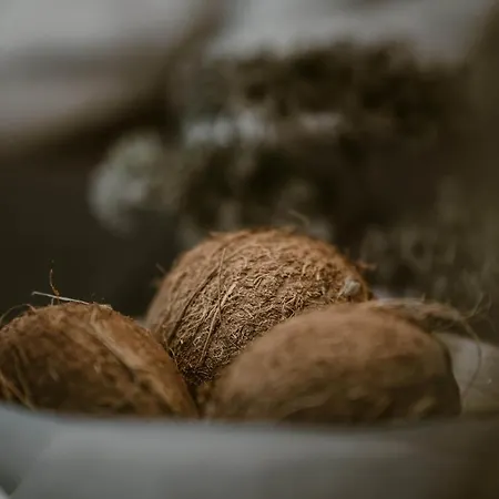 Kanela * اليكاناس