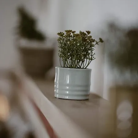 Kanela * اليكاناس