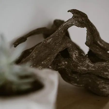 Kanela بيت للعطل *